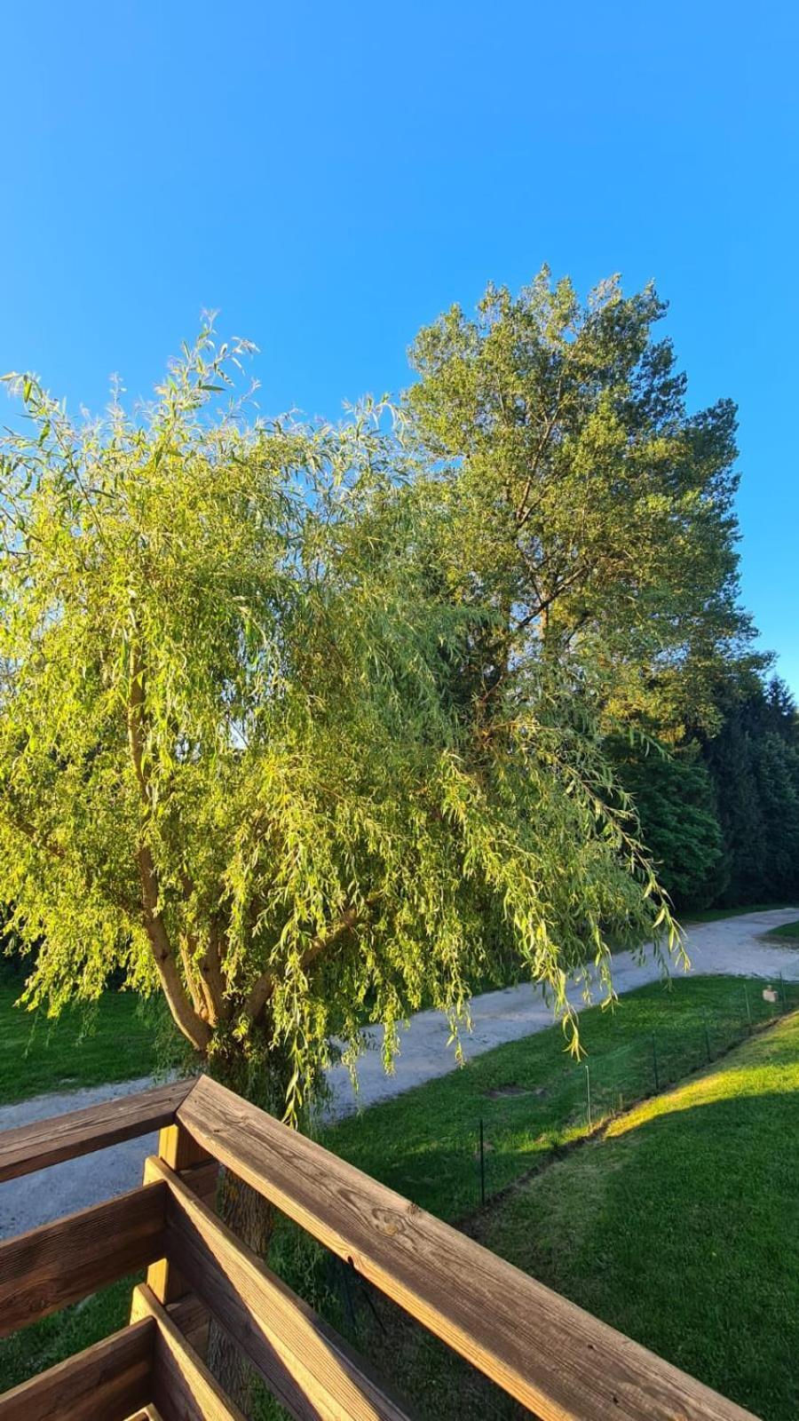 Apartmán Sous Le Saule Nods Exteriér fotografie