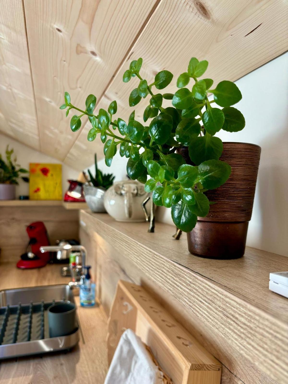 Apartmán Sous Le Saule Nods Exteriér fotografie